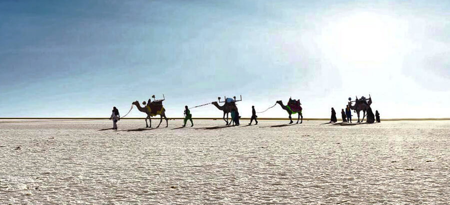 car rental in Ahmedabad