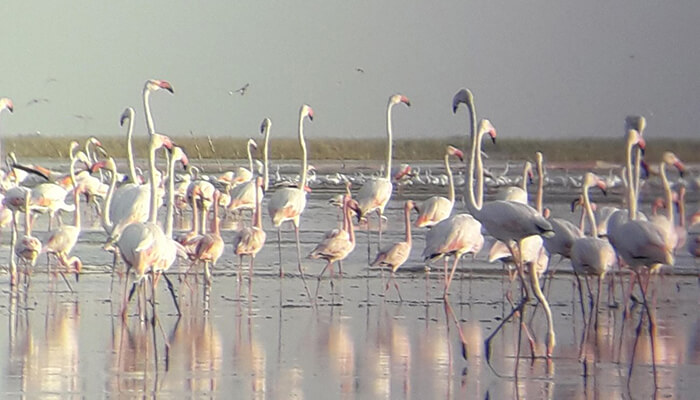 Gujarat tour packages from ahmedabad