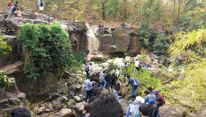 Tour operators in Gujarat