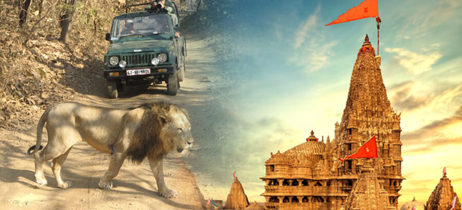 saurastra tour Gujarat